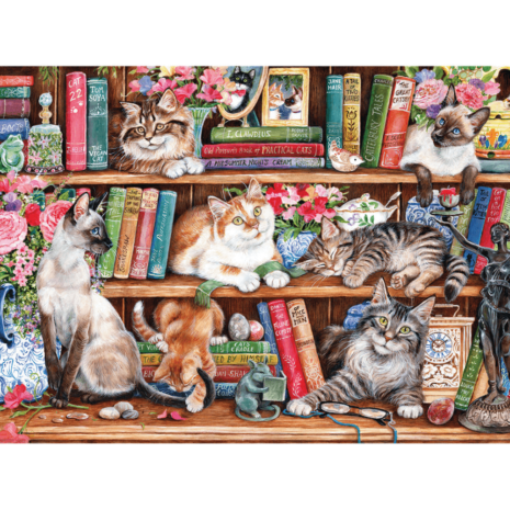 Puss Back In Books Puss Back In Books
