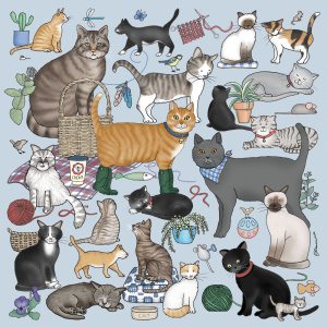 Hobbies Cats