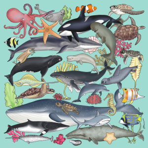 Natural World Sealife