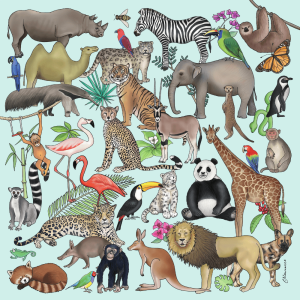 Natural World Zoolife